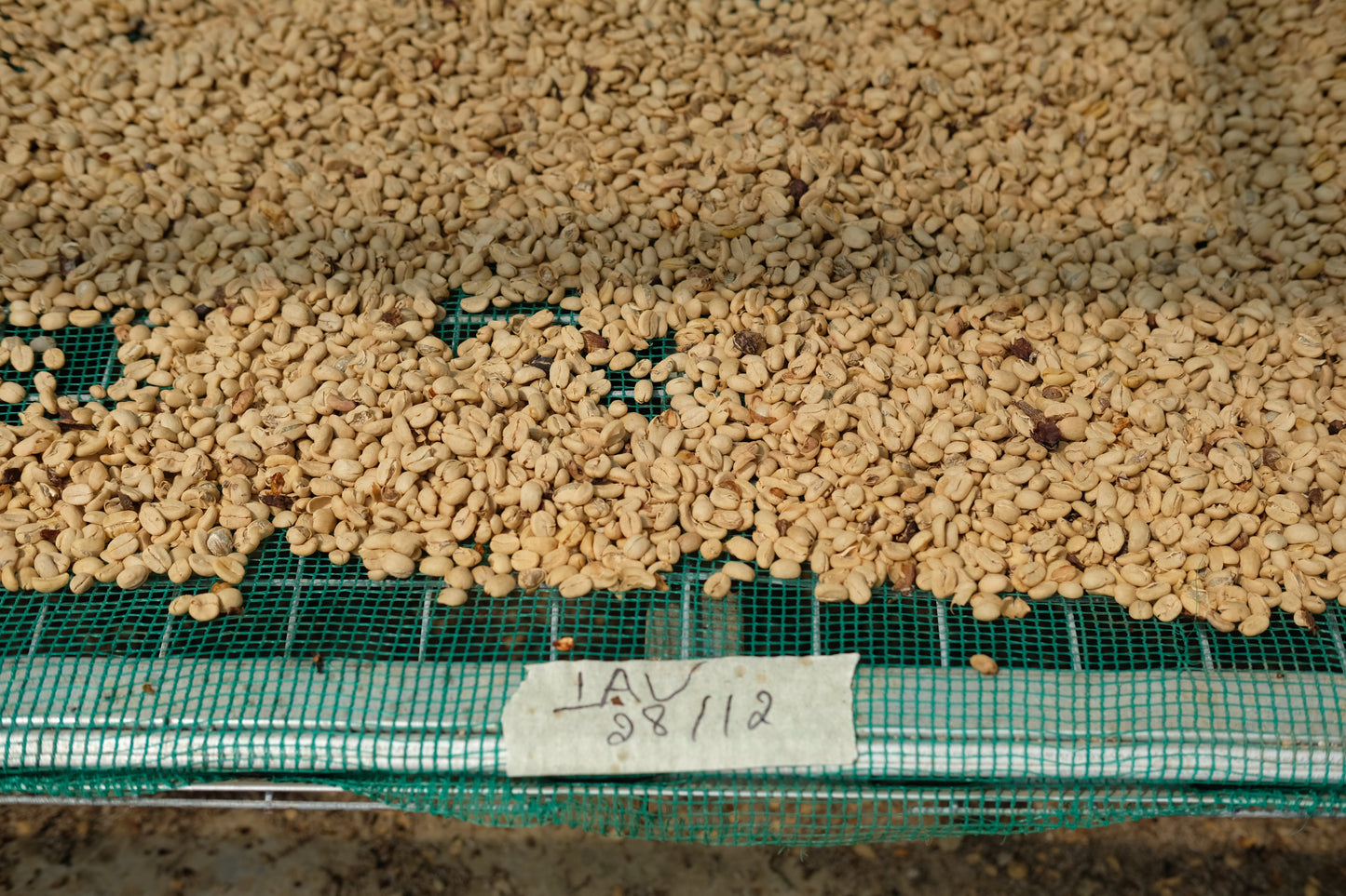 The Viet Seasonal Kit (UK Limited Edition)