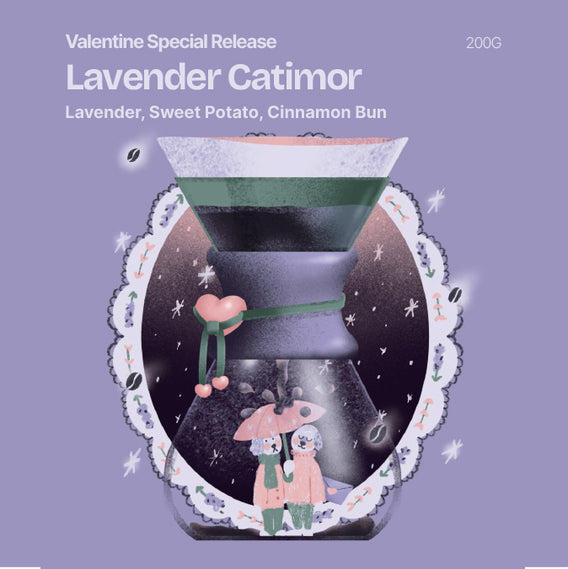 Lavender Catimor